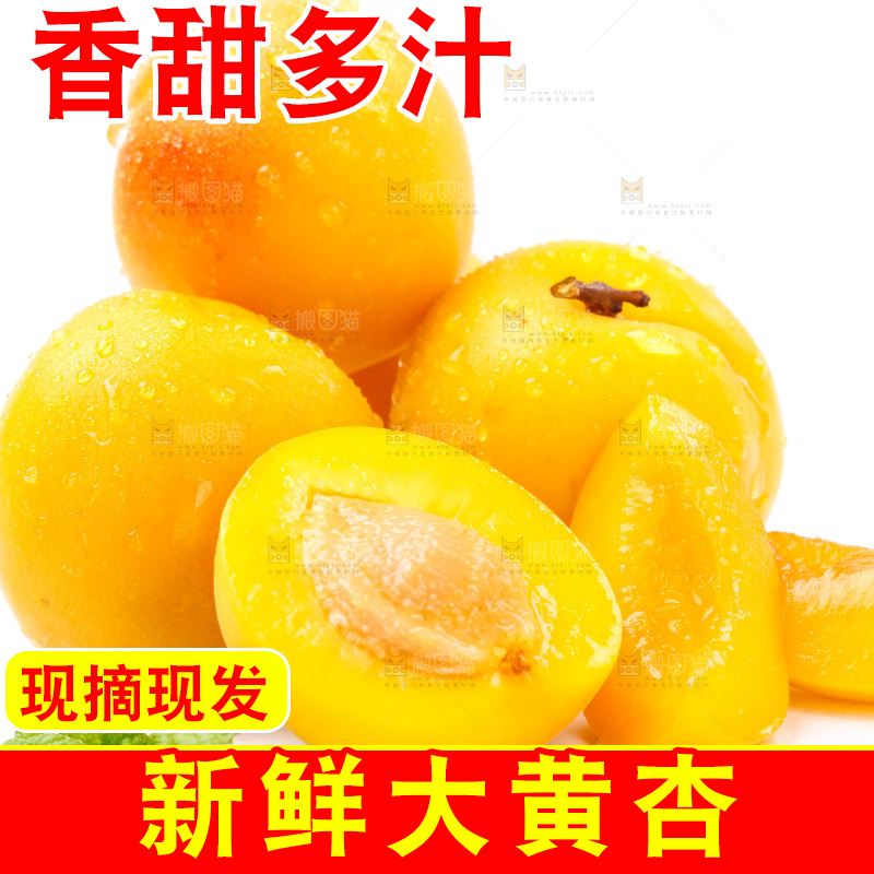 白底上放着大黄杏