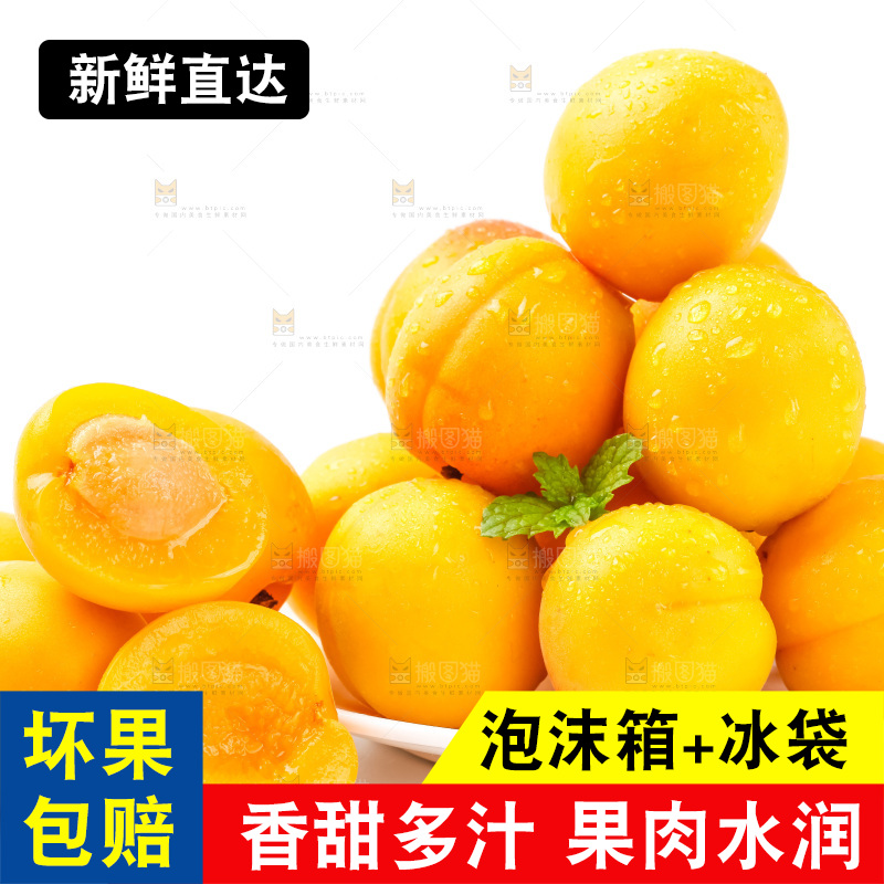 盘子里装着新鲜麦黄杏
