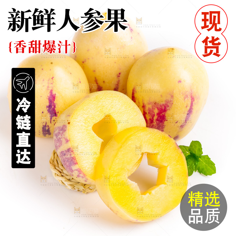 浅底上摆放着黄肉人参果