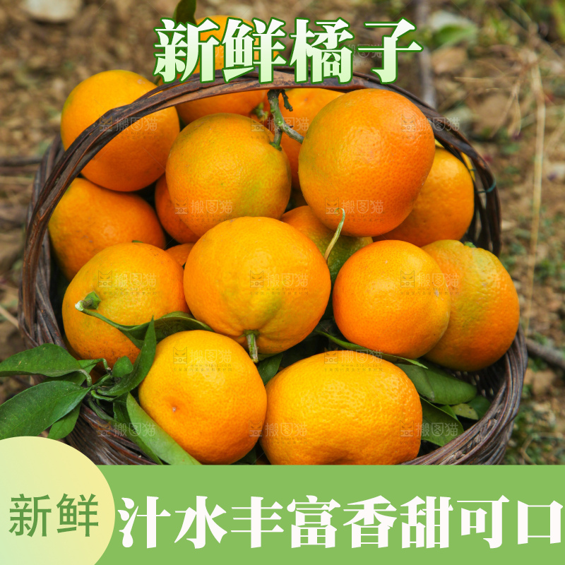 篮子里装着橘子