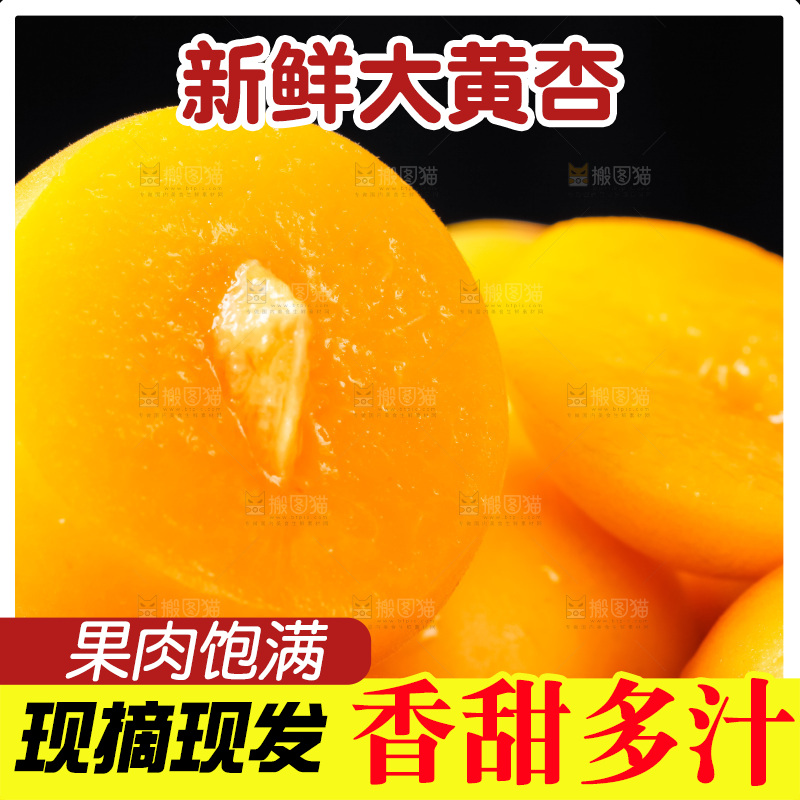 黑底上摆放着新鲜麦黄杏