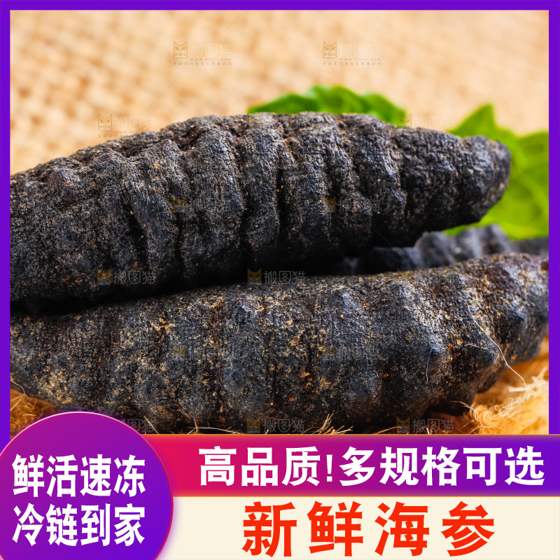 浅底上摆放着海参