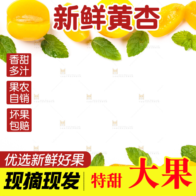 白底上放着黄杏