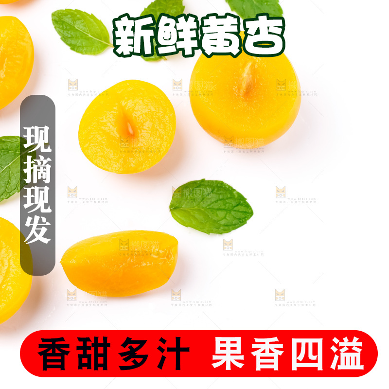 白底上摆放着杏子