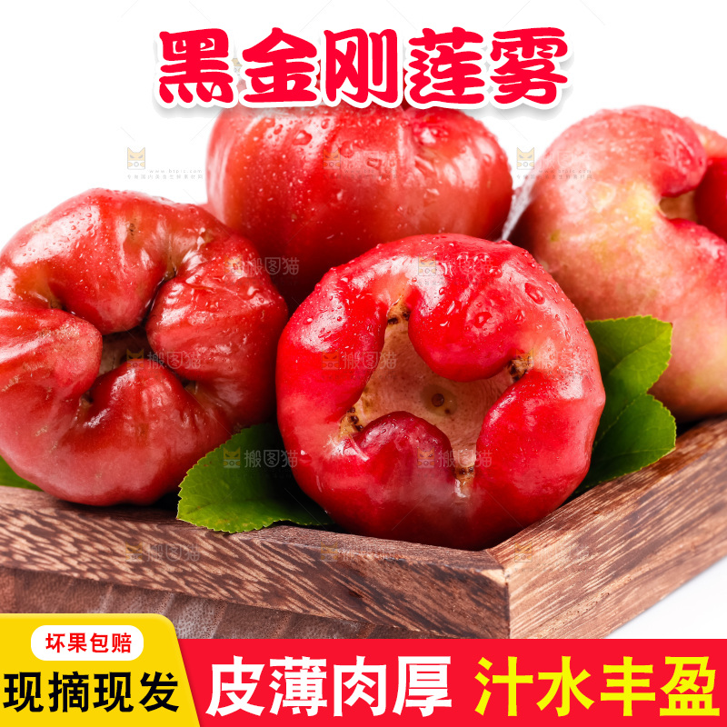 木盒里装着黑金刚莲雾