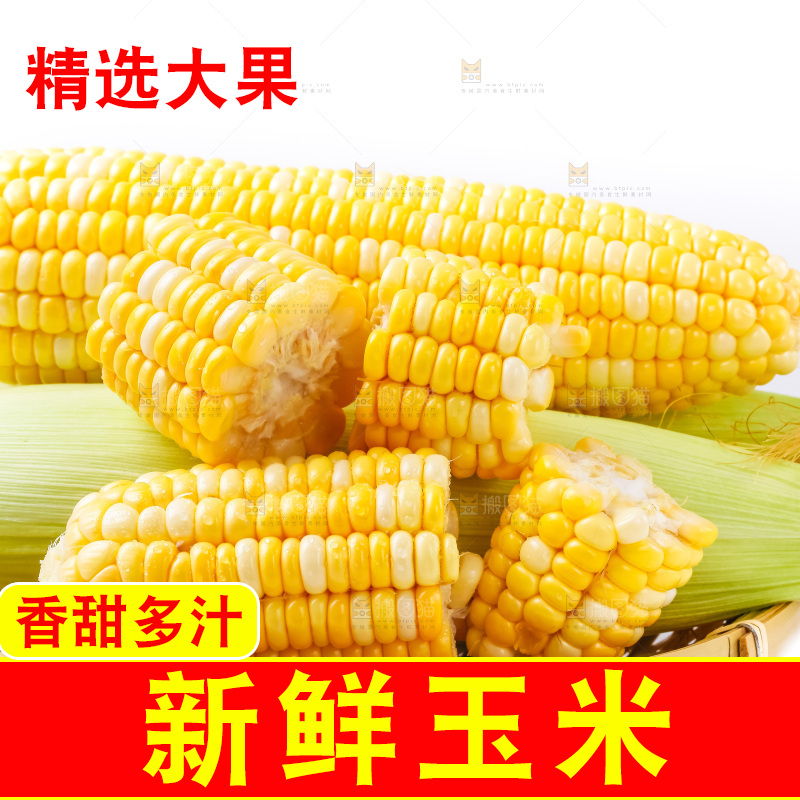 篮子里装着黄玉米