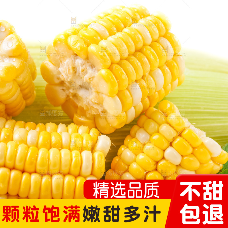 篮子里装着黄玉米