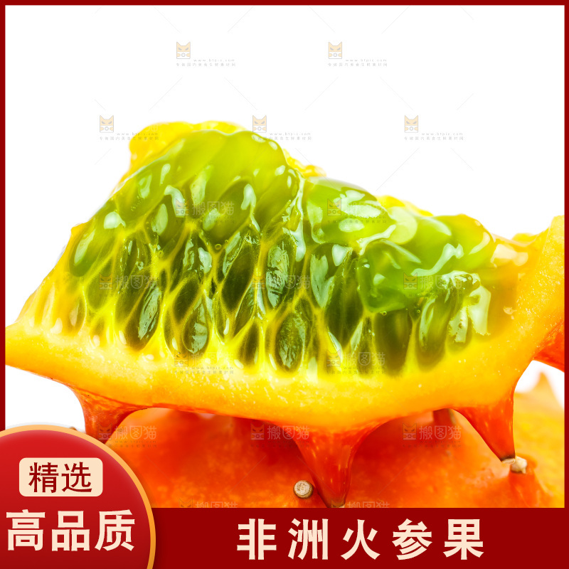 白底上的刺角瓜