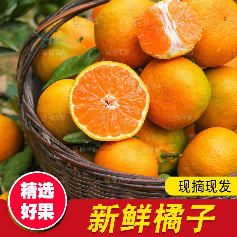 篮子里装着橘子