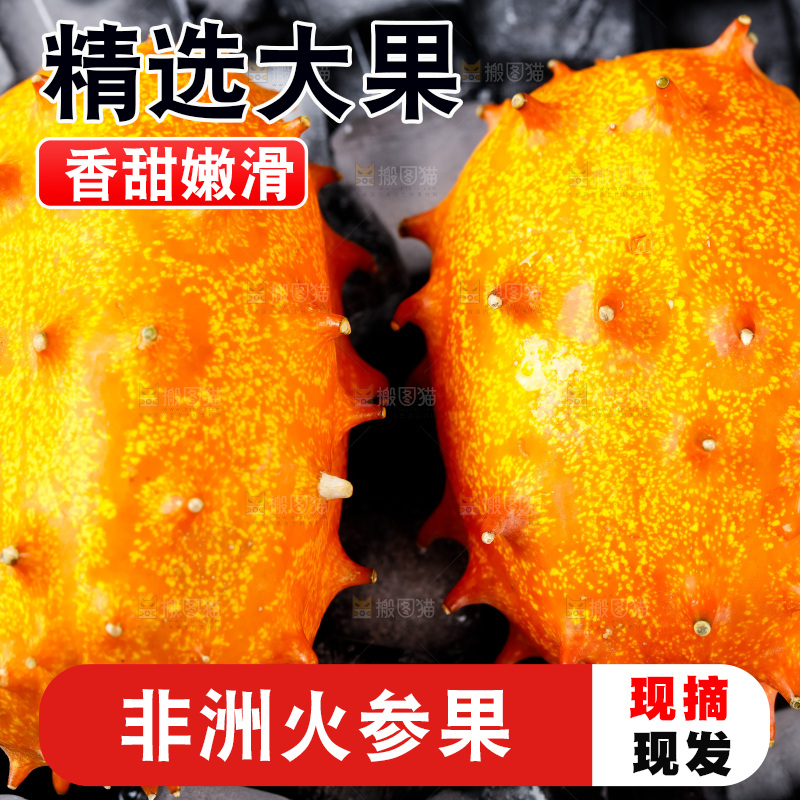 冰块上摆放着刺角瓜
