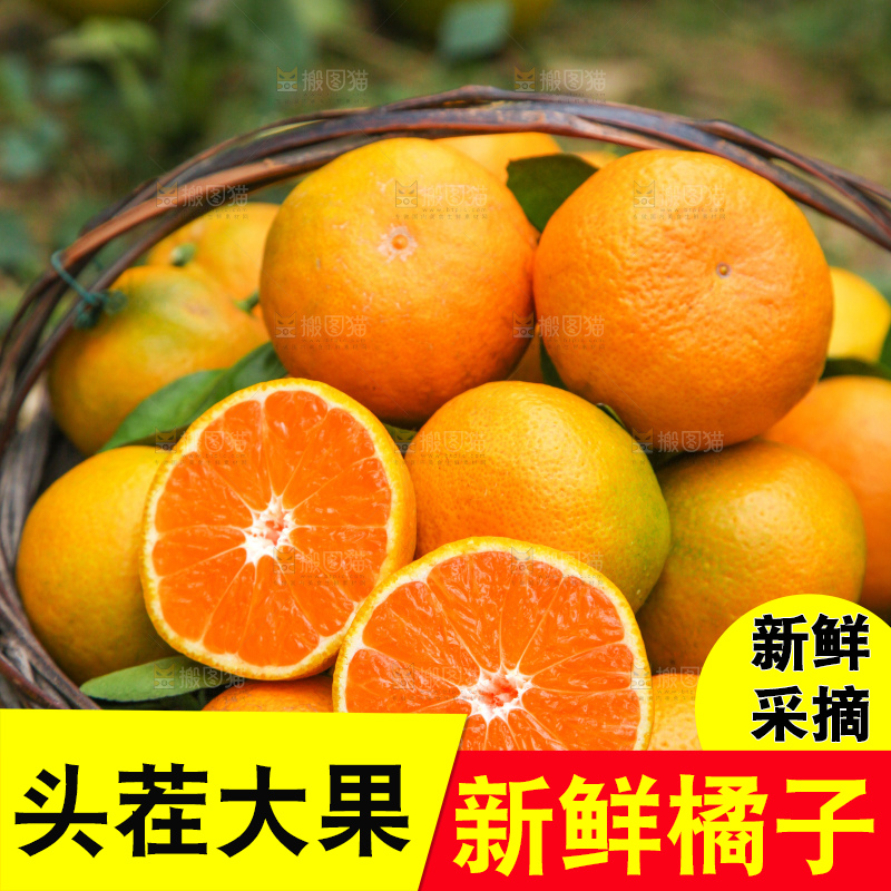 篮子里的新鲜橘子