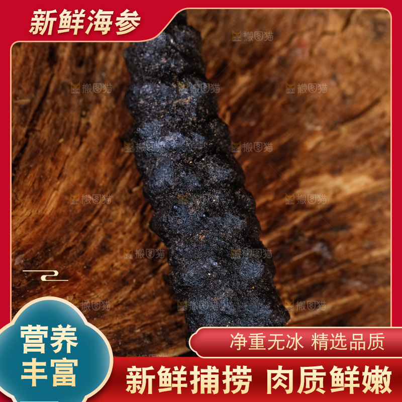 木底上摆放着干海参
