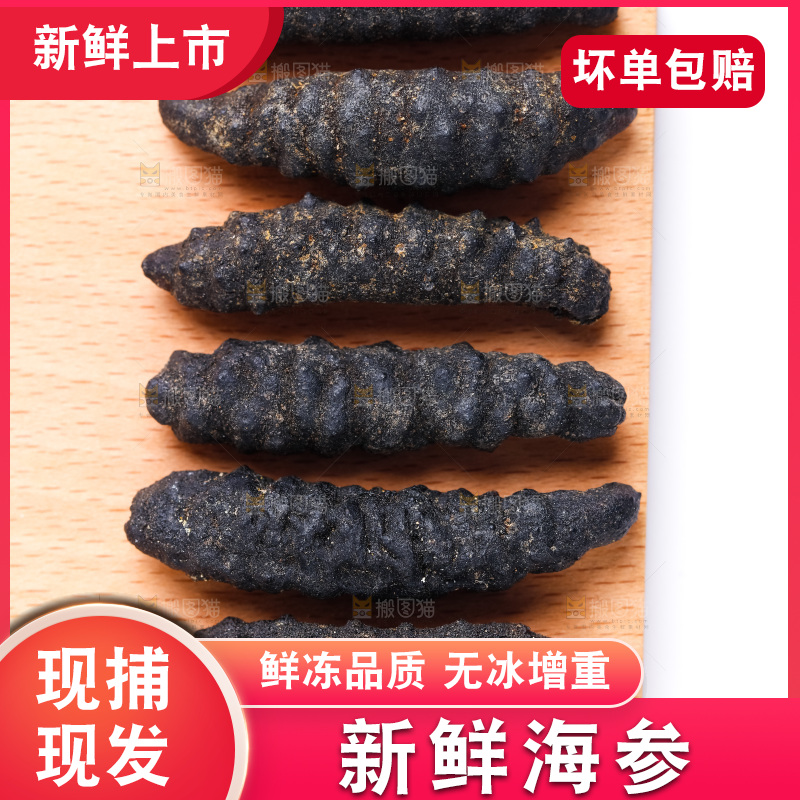 木底上放着野生海参