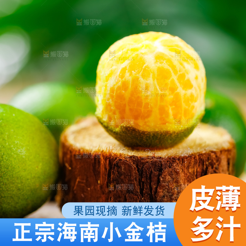 木底上摆放着海南小金桔