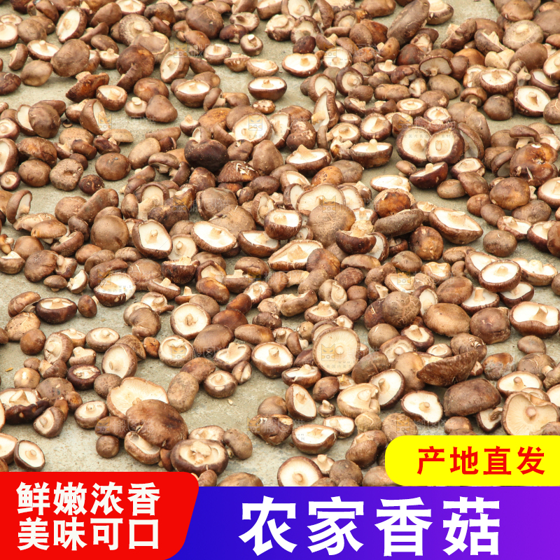 地上晒着香菇