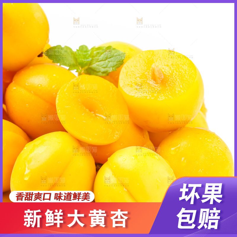 白底上放着大黄杏