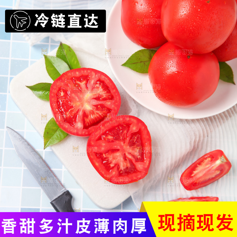 白底上放着西红柿