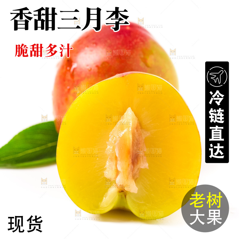 白底上摆放着珍珠李子