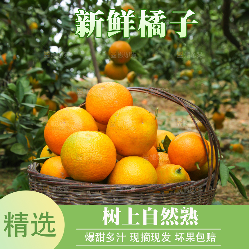篮子里装着橘子