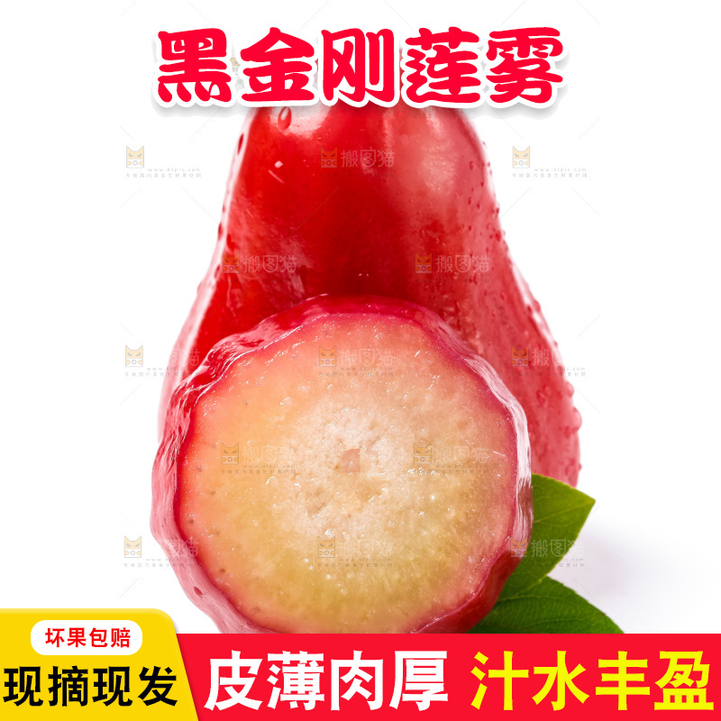 白底上摆放着海南莲雾