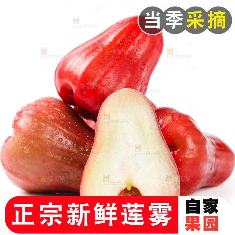 浅底上摆放着黑金刚莲雾