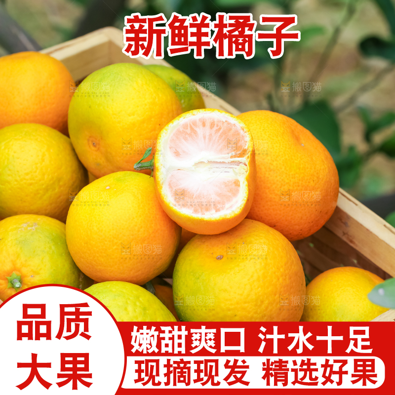 篮子里装着蜜橘