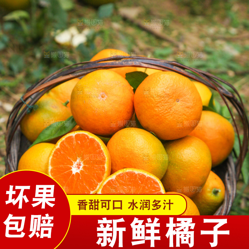 篮子里的新鲜橘子