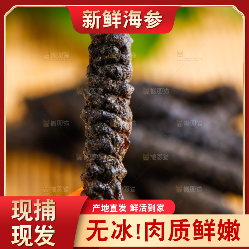 手里拿着干海参