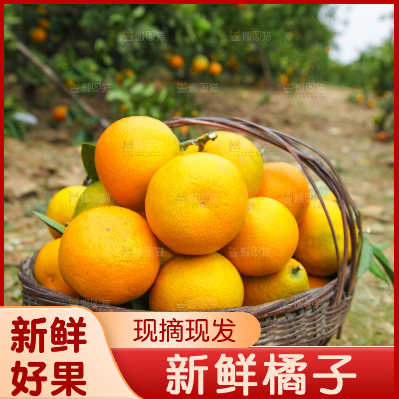 篮子里的蜜橘
