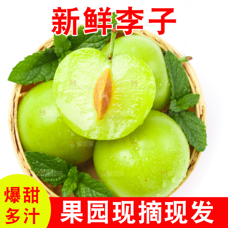 篮子里装着新鲜青李子