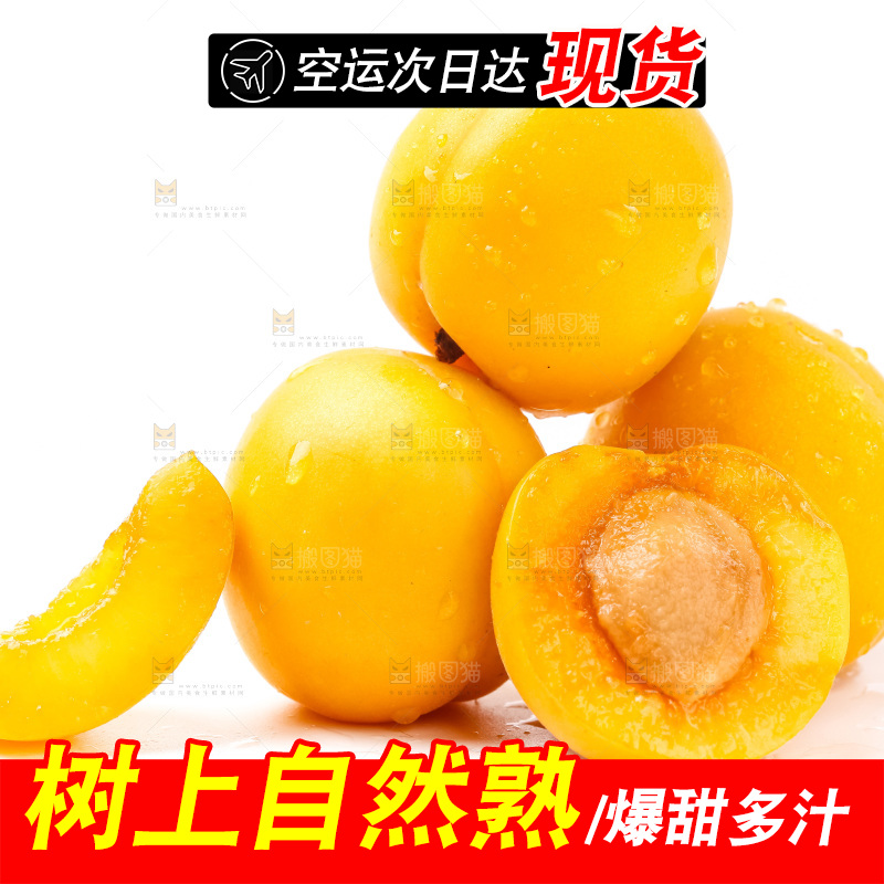 白底上摆放着麦黄杏