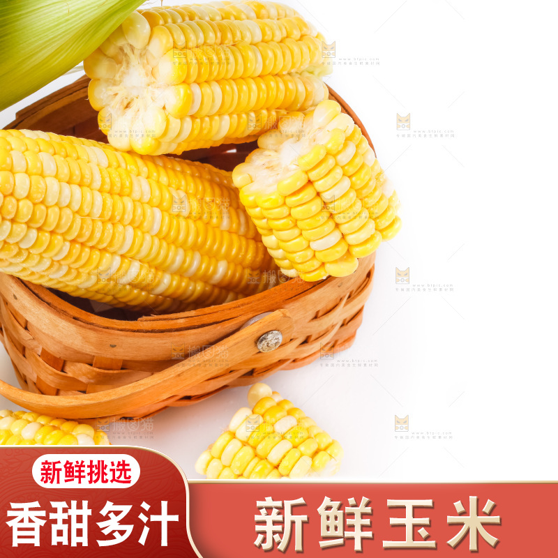 白底上放着东北玉米