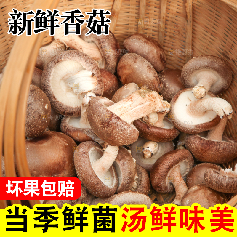 篮子里装着香菇