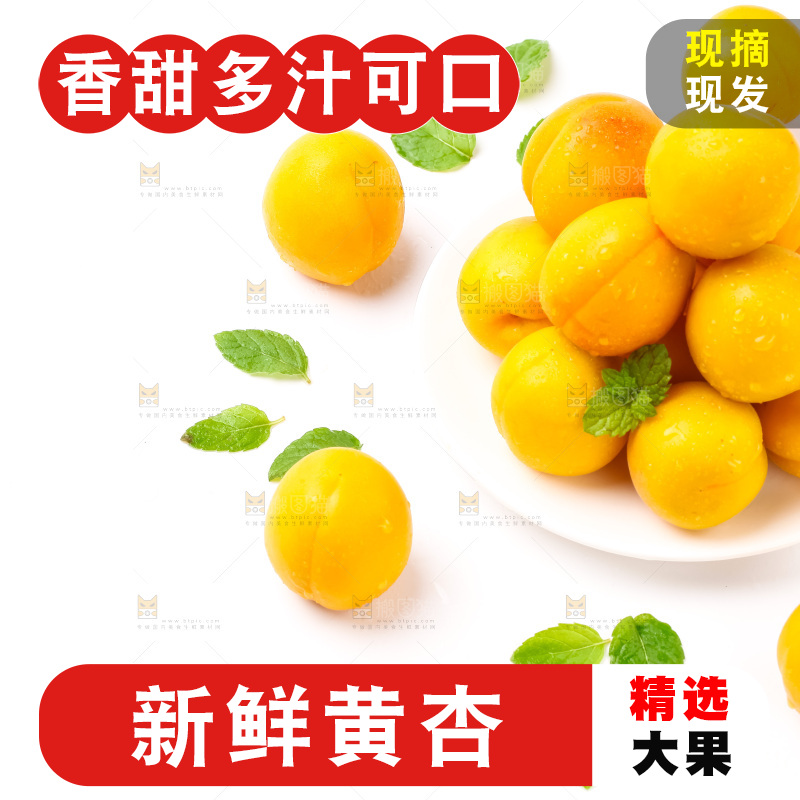 盘子里装着新鲜麦黄杏