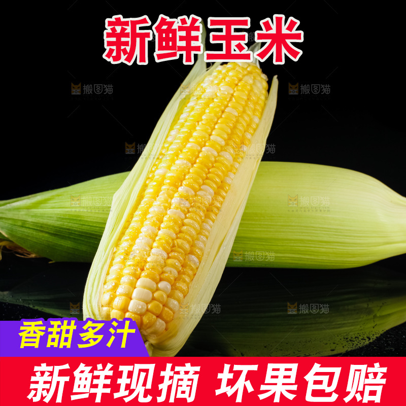 黑底上摆放着玉米棒