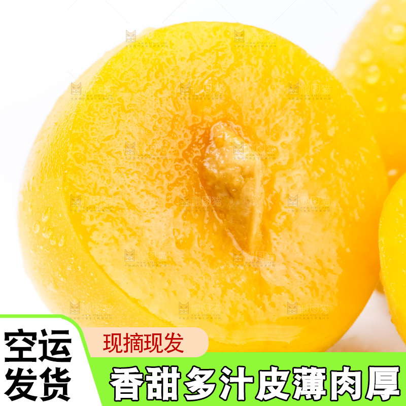 白底上放着大黄杏