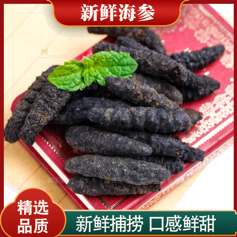 书本上摆放着天然海参