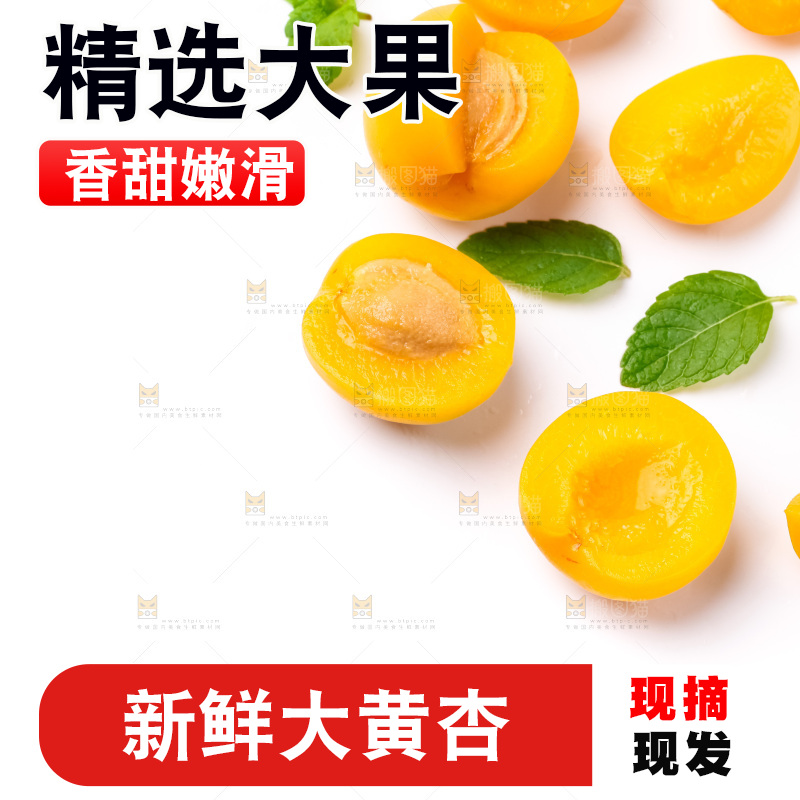 白底上摆放着杏子