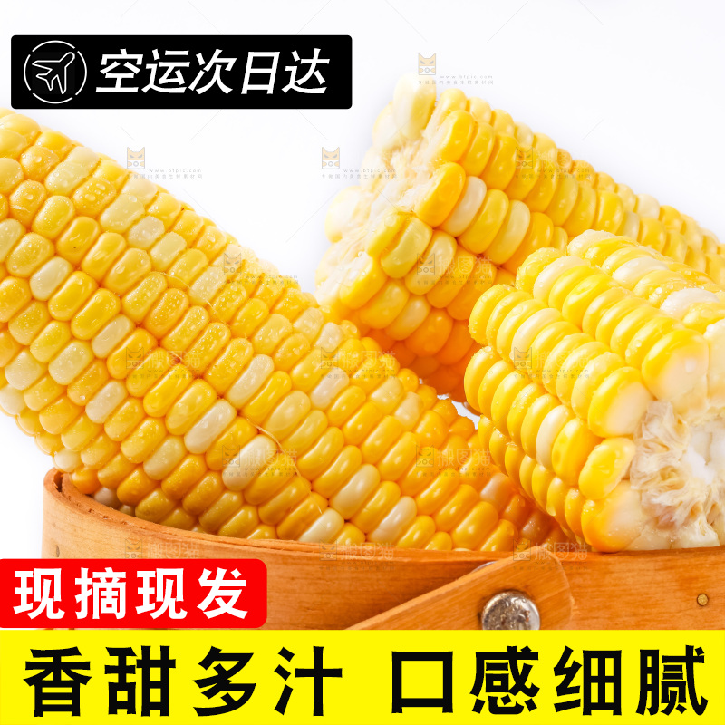 篮子里装着黄玉米