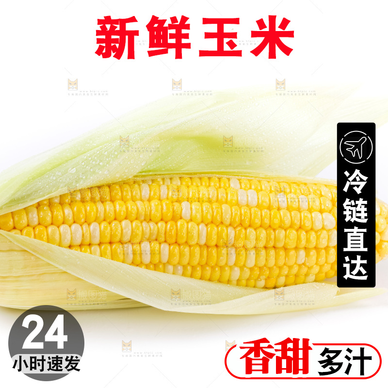白底上放着黄玉米
