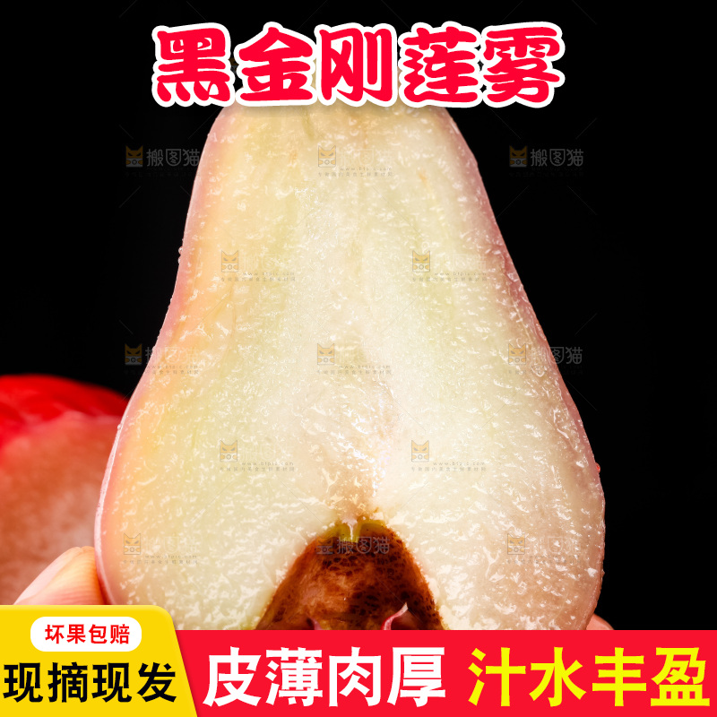 手里拿着黑金刚莲雾