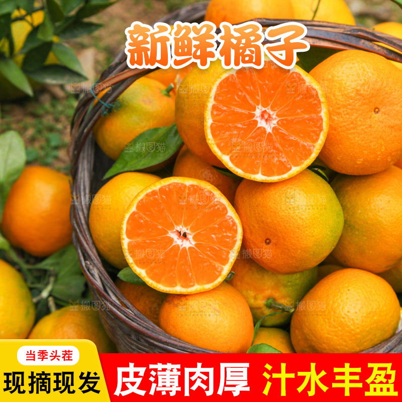 篮子里装着橘子