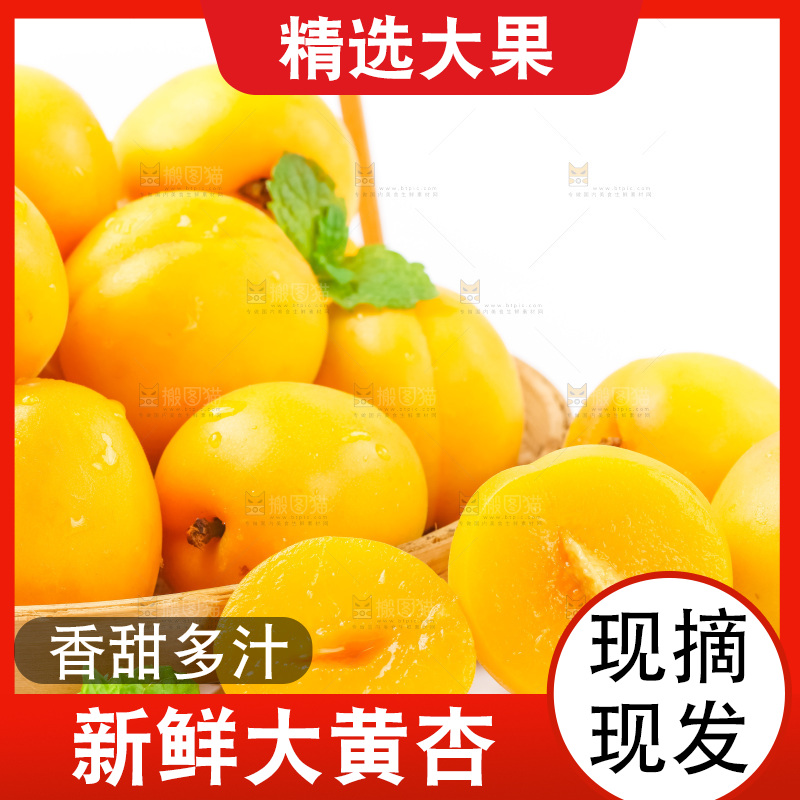 白底上放着黄杏