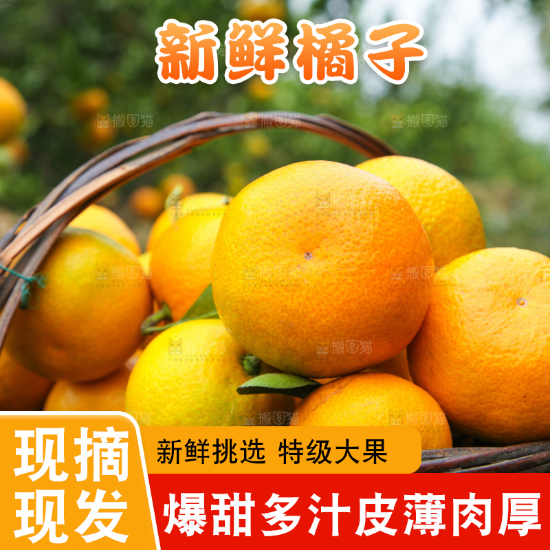 篮子里的蜜橘