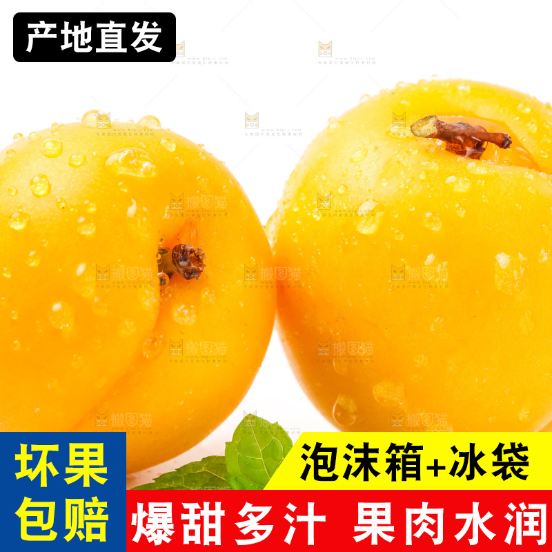 白底上摆放着麦黄杏