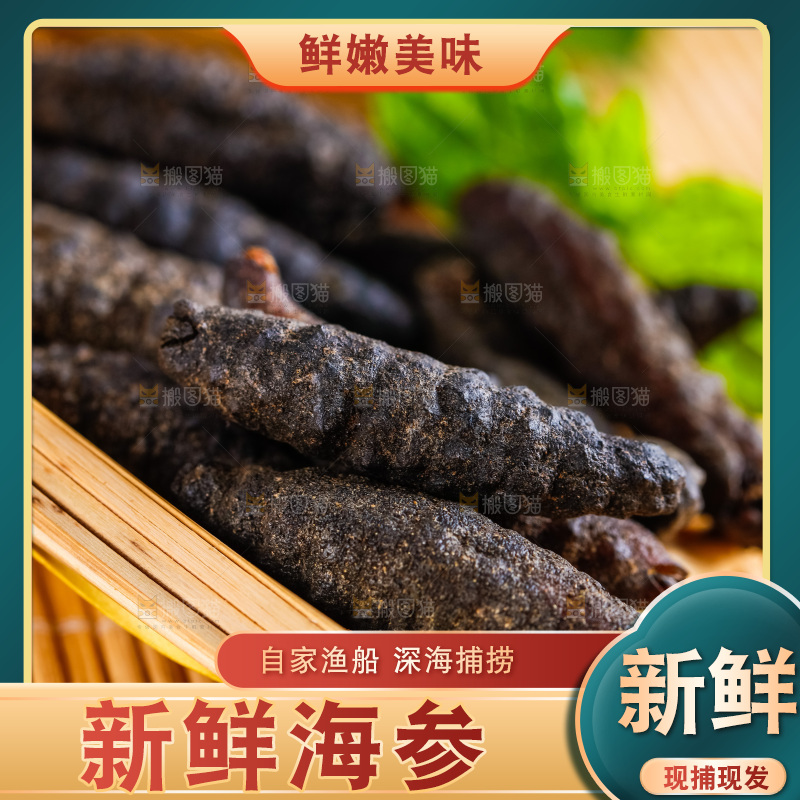 篮子里装着野生海参