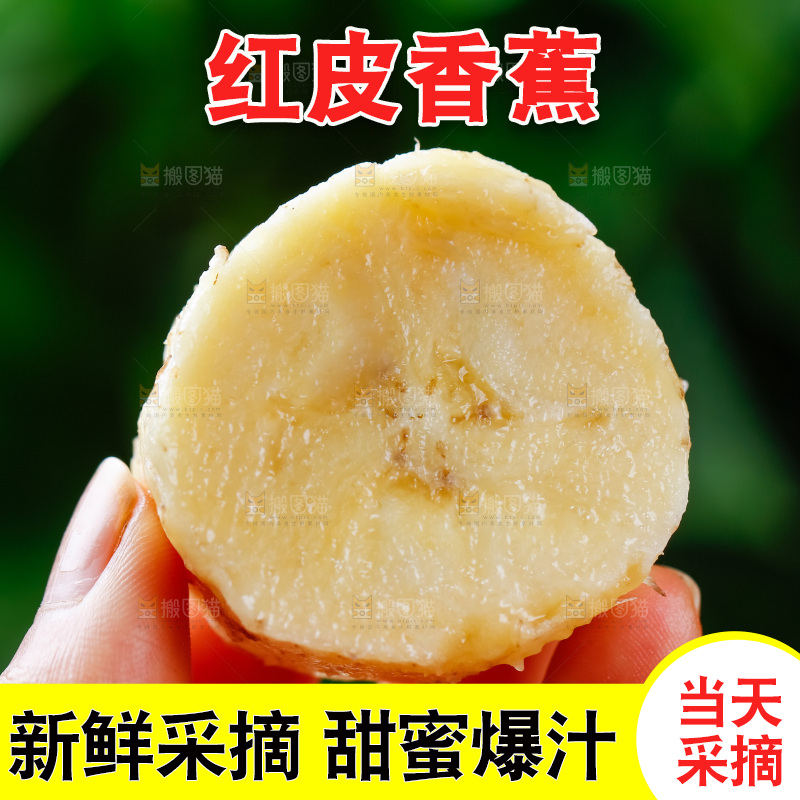 手里拿着香蕉