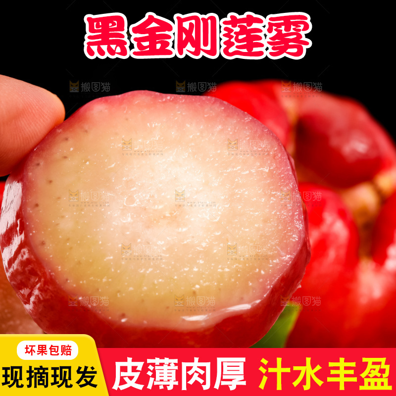 手里拿着黑金刚莲雾