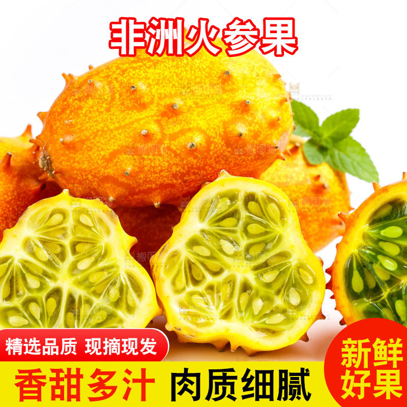 白底上摆放着刺角瓜