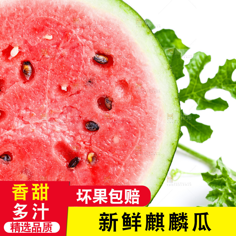 白底上摆放着麒麟瓜